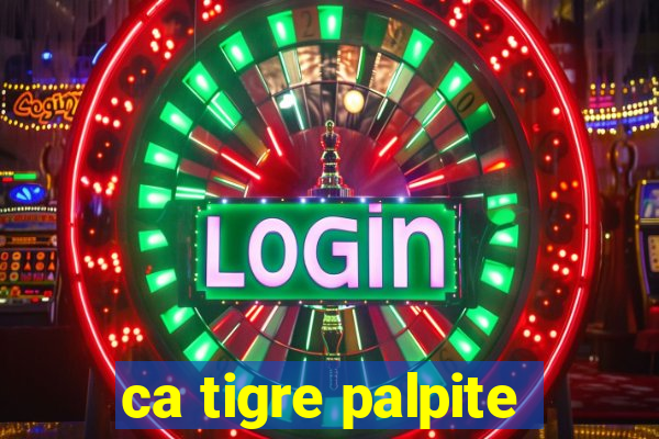 ca tigre palpite